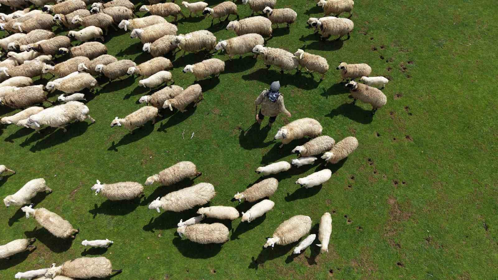 Genç besicilere büyük destek
