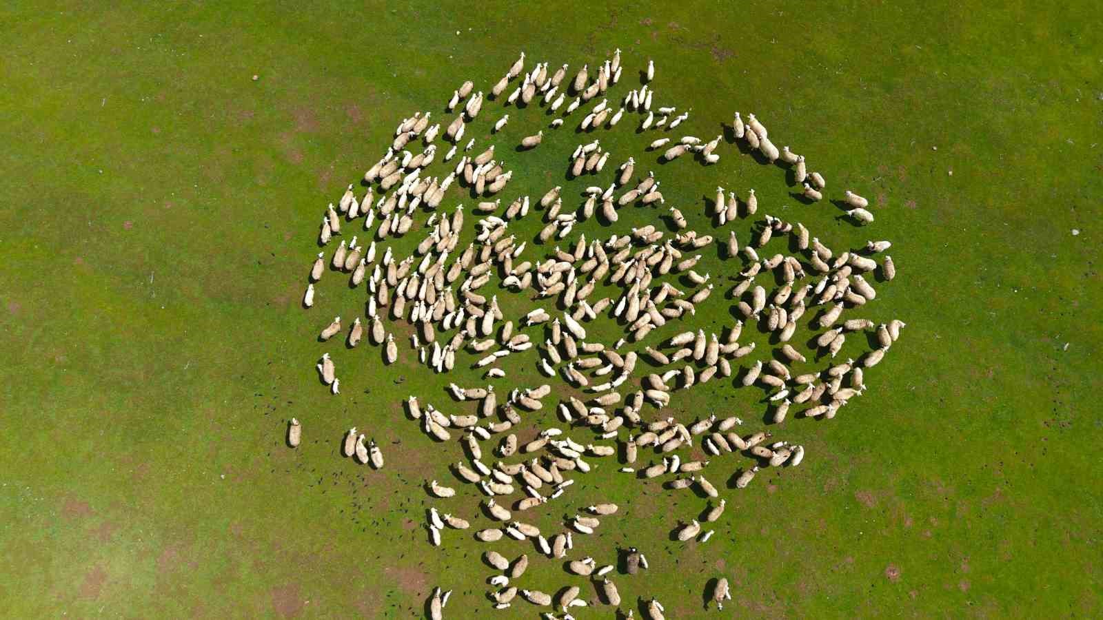 Genç besicilere büyük destek
