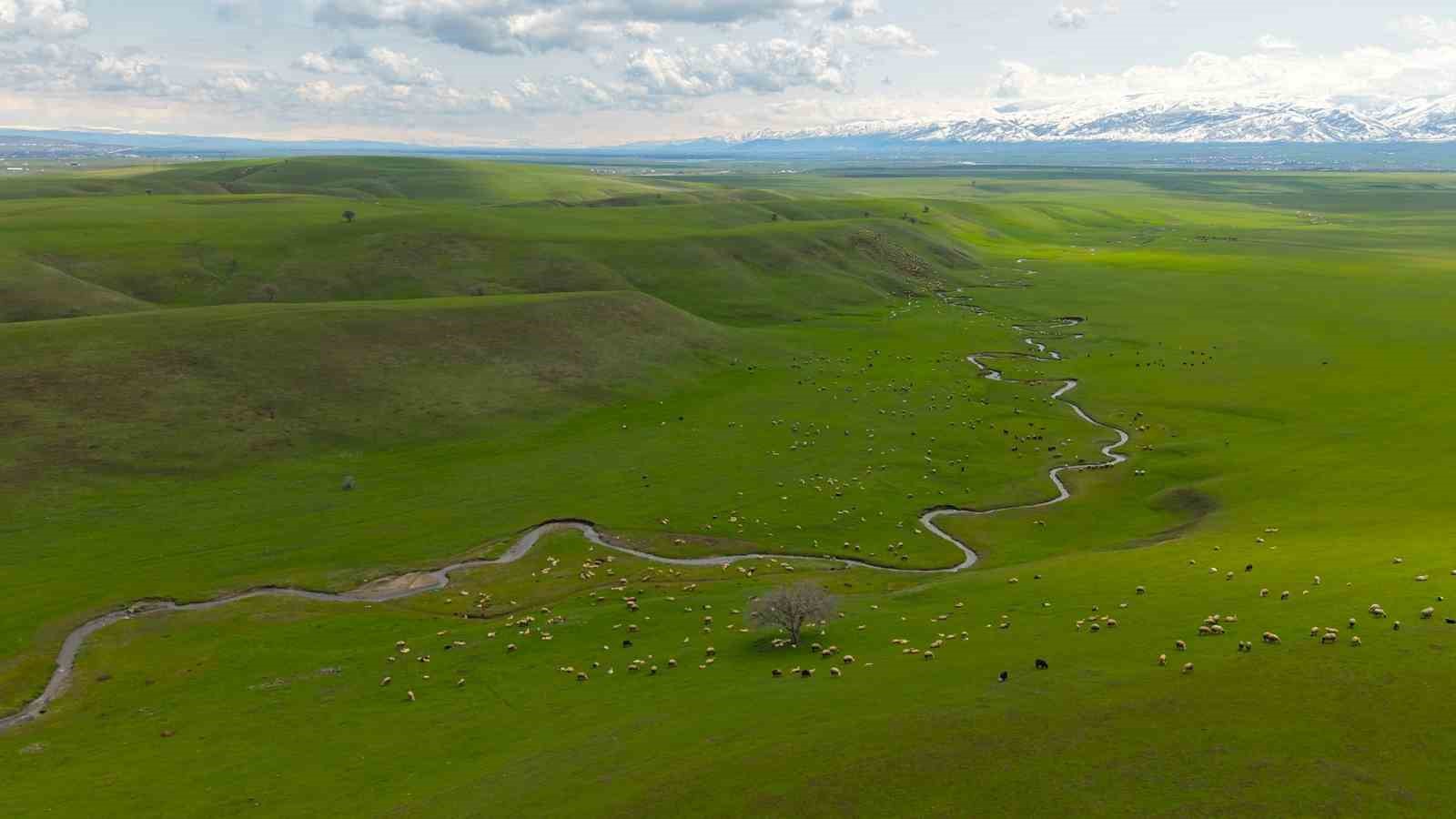 Genç besicilere büyük destek
