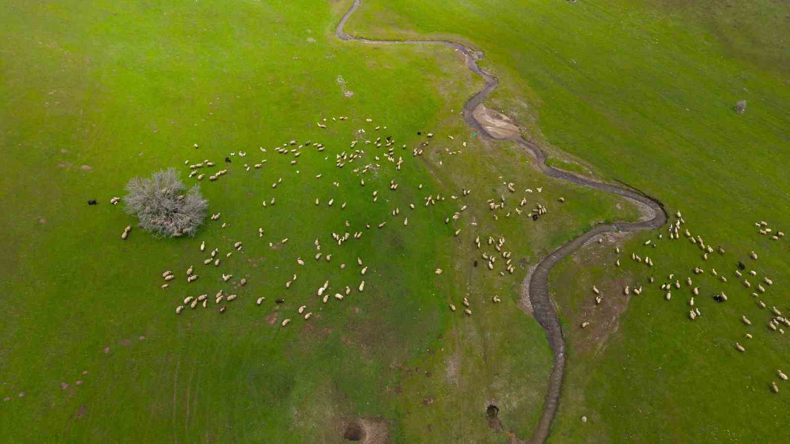 Genç besicilere büyük destek
