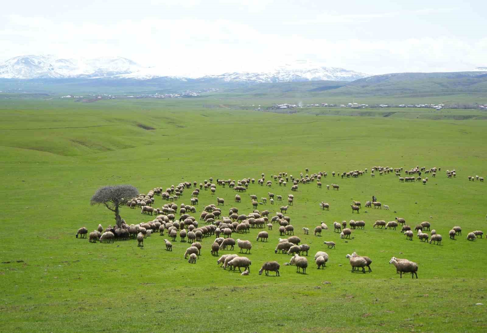 Genç besicilere büyük destek
