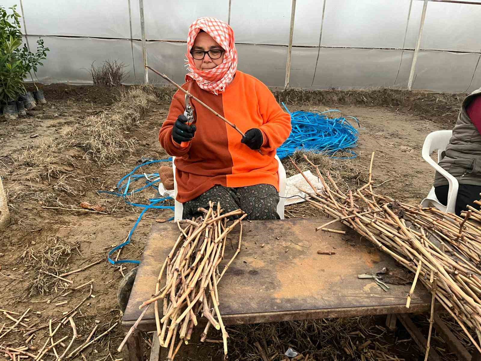Genç kardeşlerden Sarıgöl ekonomisine 700 bin fidan hamlesi

