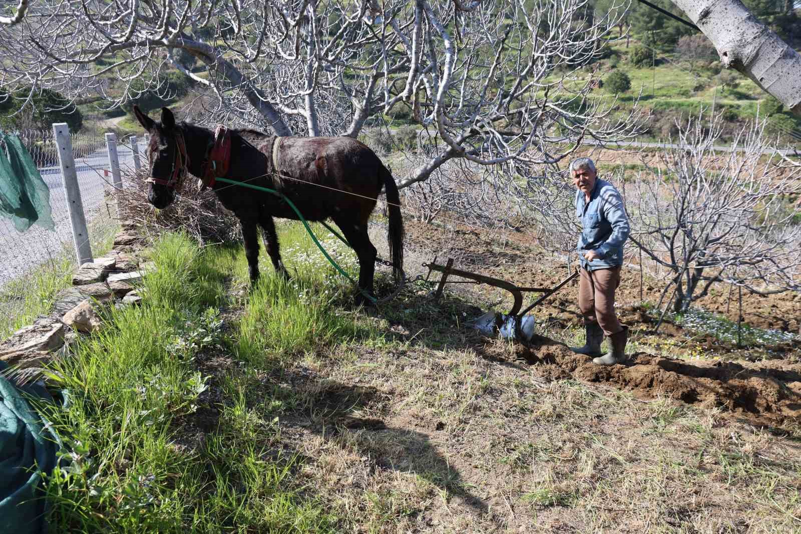 Gençler köyü terk edince iş yaşlılara kaldı
