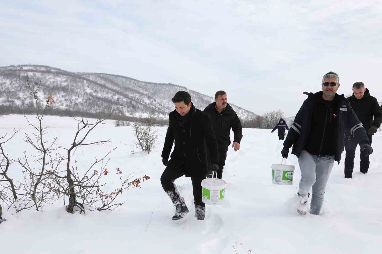 Genç’te yaban hayvanları için doğaya yem bırakıldı
