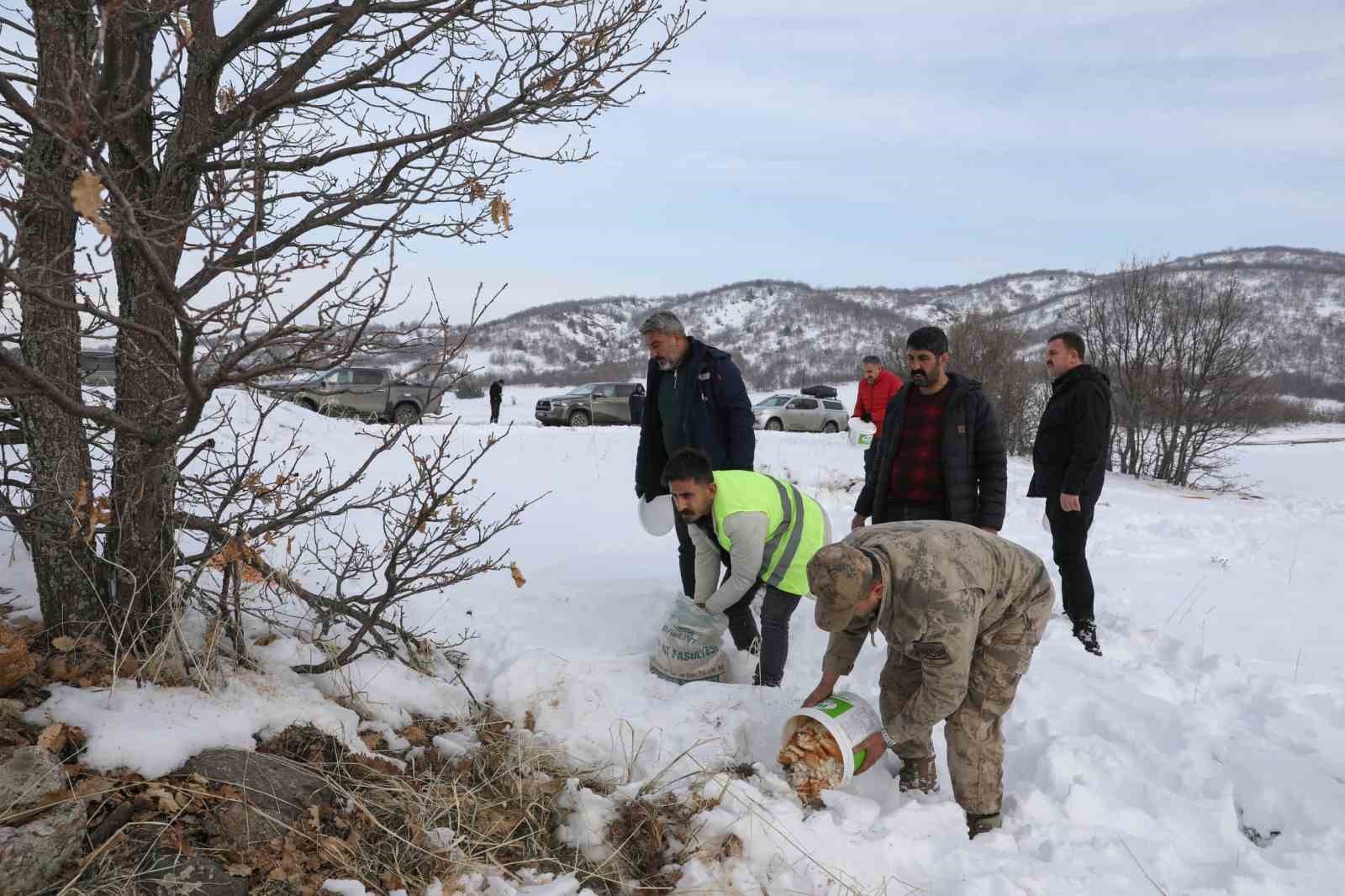 Genç’te yaban hayvanları için doğaya yem bırakıldı
