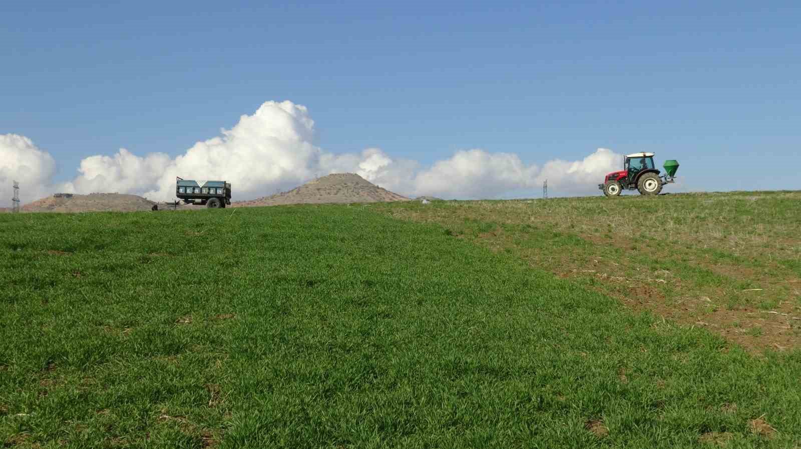 Gercüş’te çiftçilerin bahar mesaisi başladı: Tarlalar gübreyle buluşuyor

