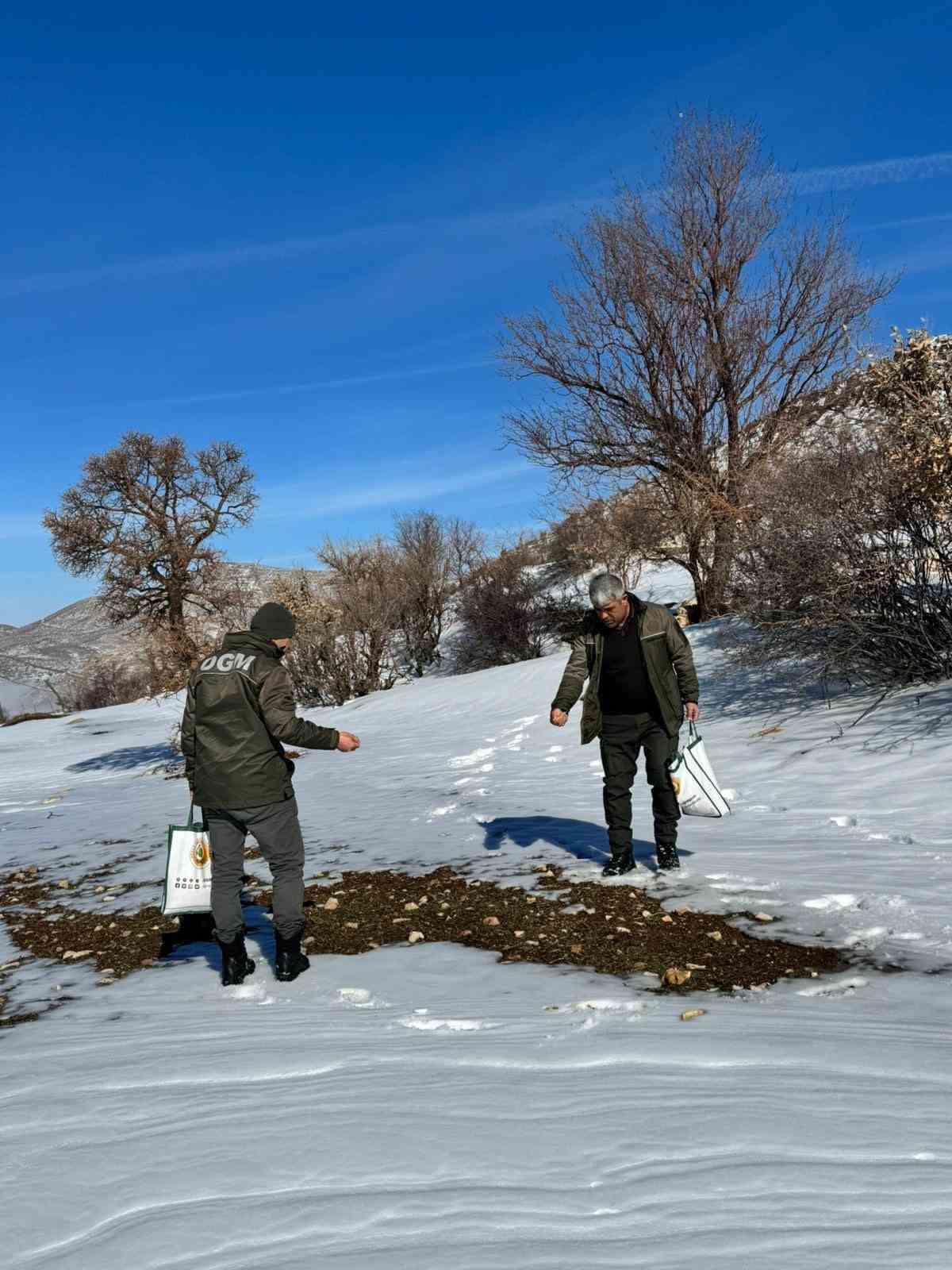 Gercüş’te orman ekibi doğadaki canlıları yalnız bırakmadı
