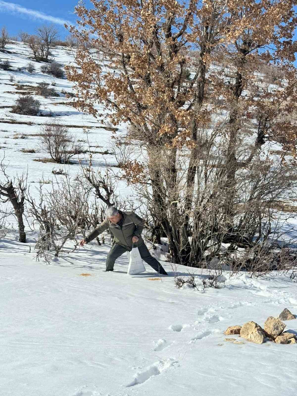 Gercüş’te orman ekibi doğadaki canlıları yalnız bırakmadı
