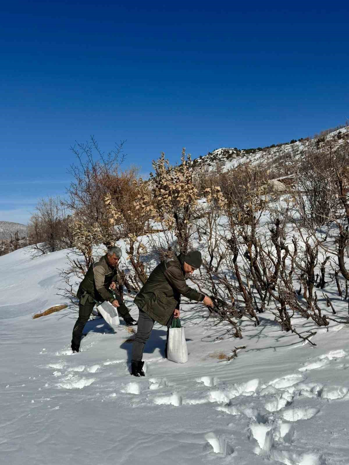 Gercüş’te orman ekibi doğadaki canlıları yalnız bırakmadı
