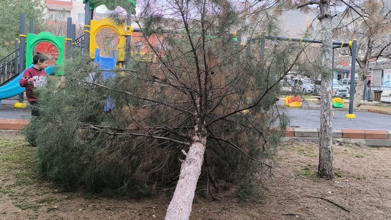 Gercüş’te şiddetli yağış ve fırtına
