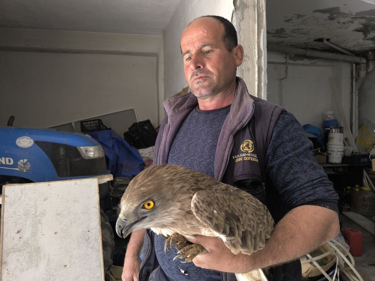 Gercüş’te yaralı kızıl şahine şefkat eli
