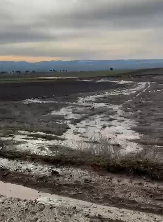 Gerede Havzası’ndaki kirlilik nedeniyle ASKİ’ye 2 milyon lira ceza
