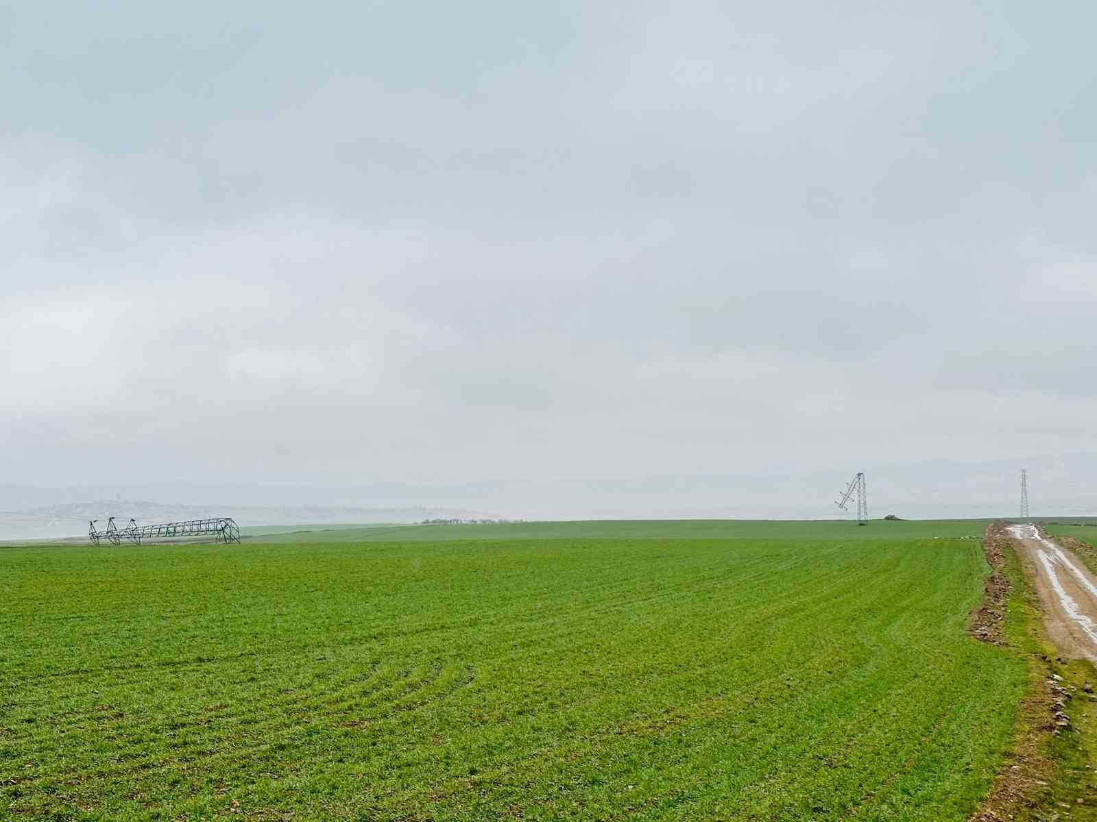 Gerilim hattındaki hırsızlıkta direkler devrildi, alternatif hatlar sayesinde ilçe elektriksiz kalmadı
