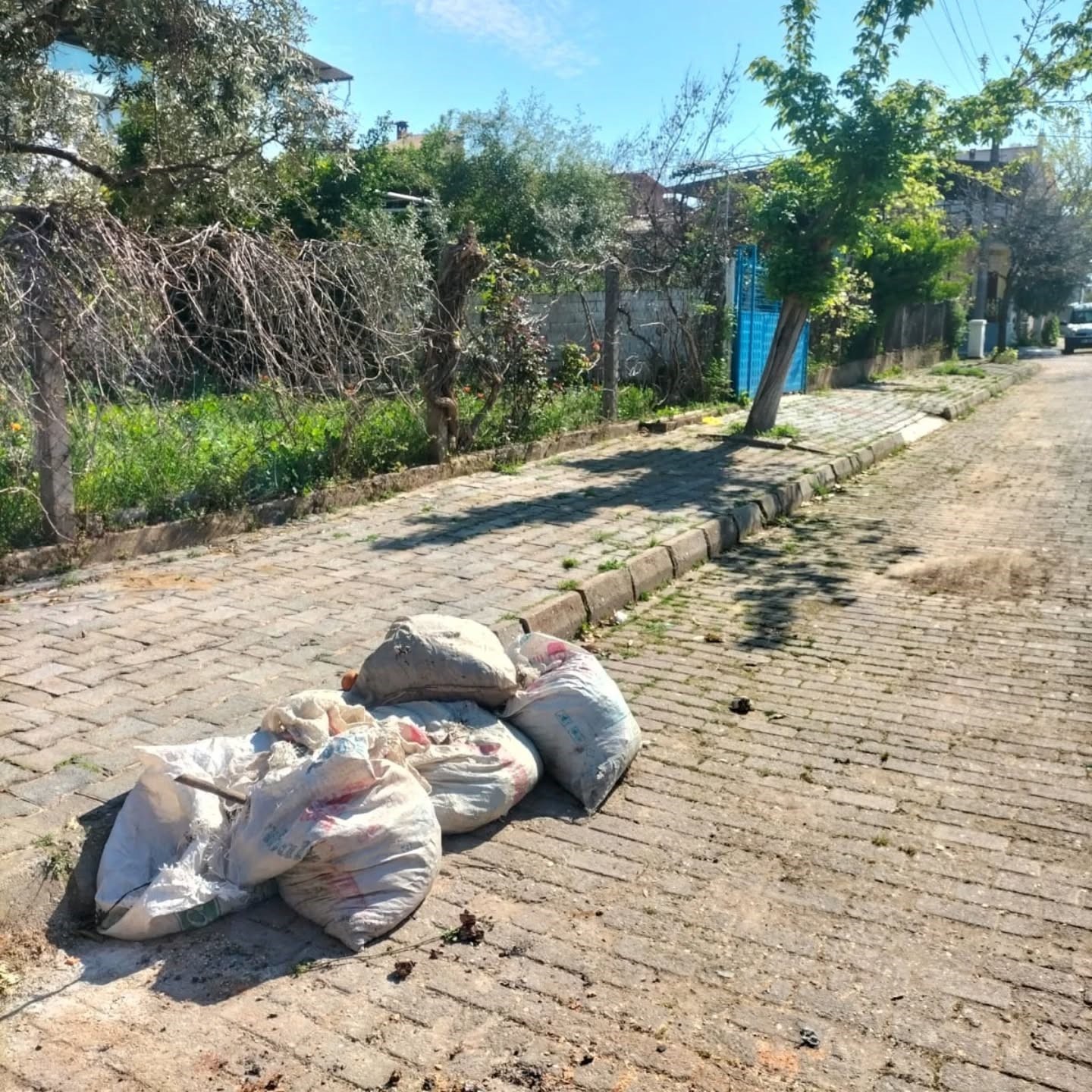 Germencik Belediyesi’nden çevre temizliği çağrısı
