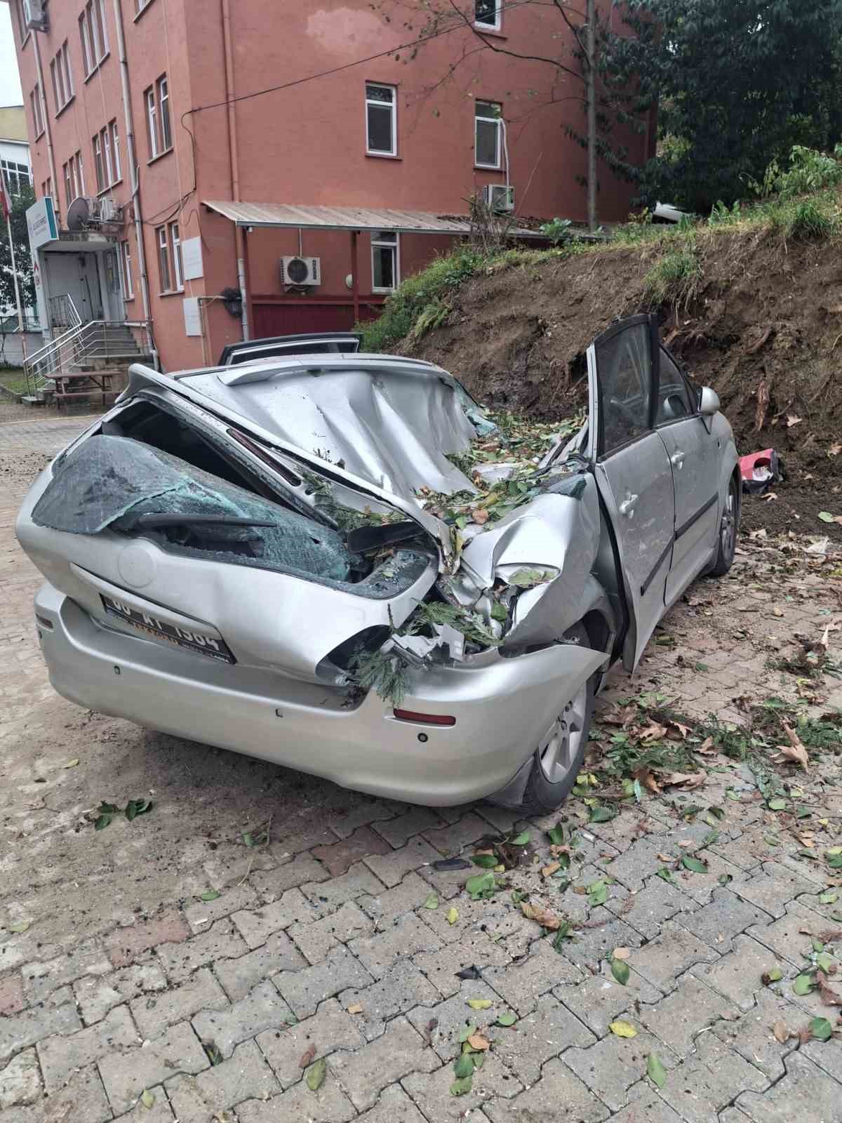 Giresun’da devrilen ağaç bir aracı kullanılamaz hale getirdi
