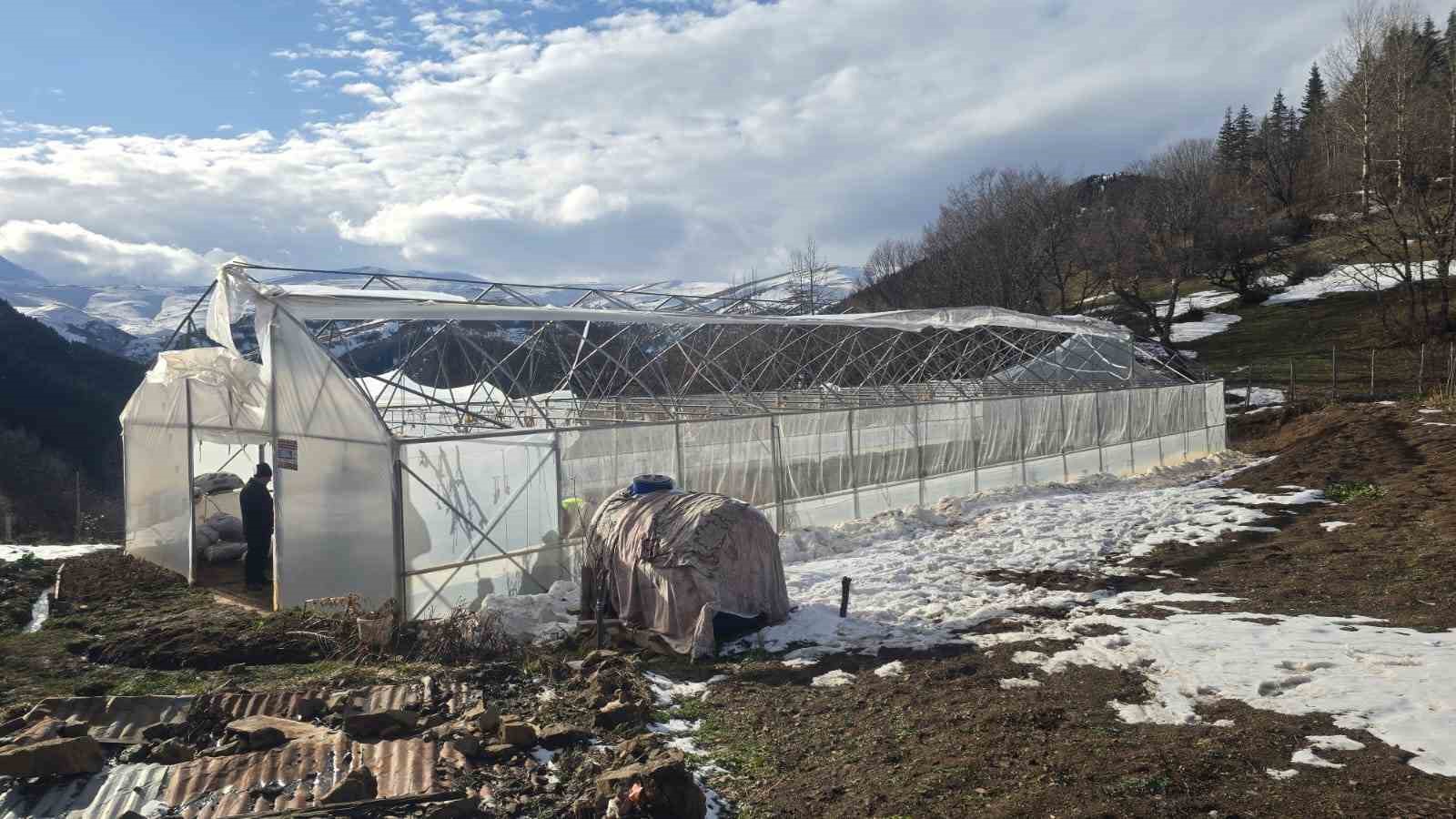 Giresun’da fırtınada bazı seralar ve yayla evleri hasar gördü
