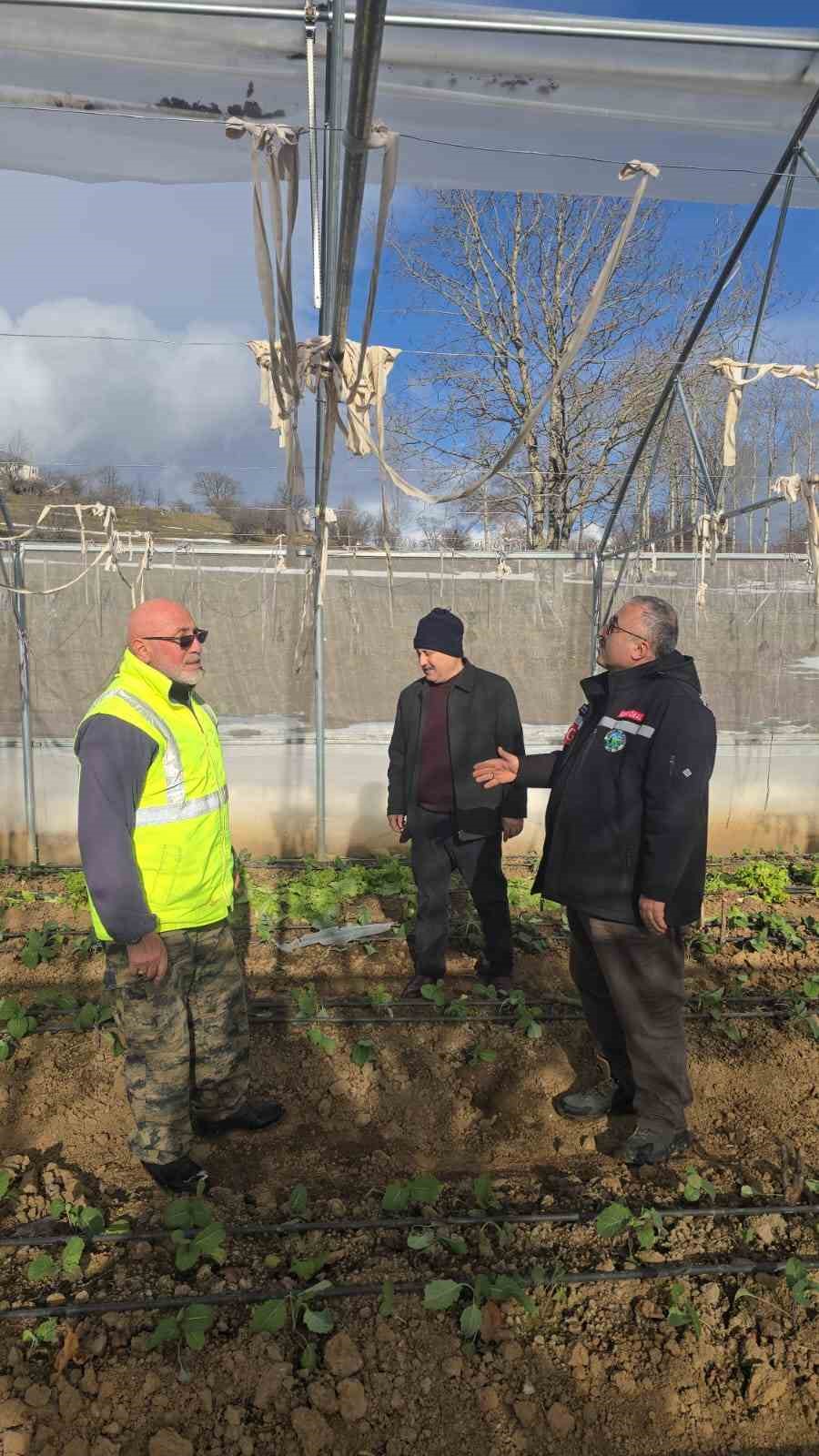 Giresun’da fırtınada bazı seralar ve yayla evleri hasar gördü
