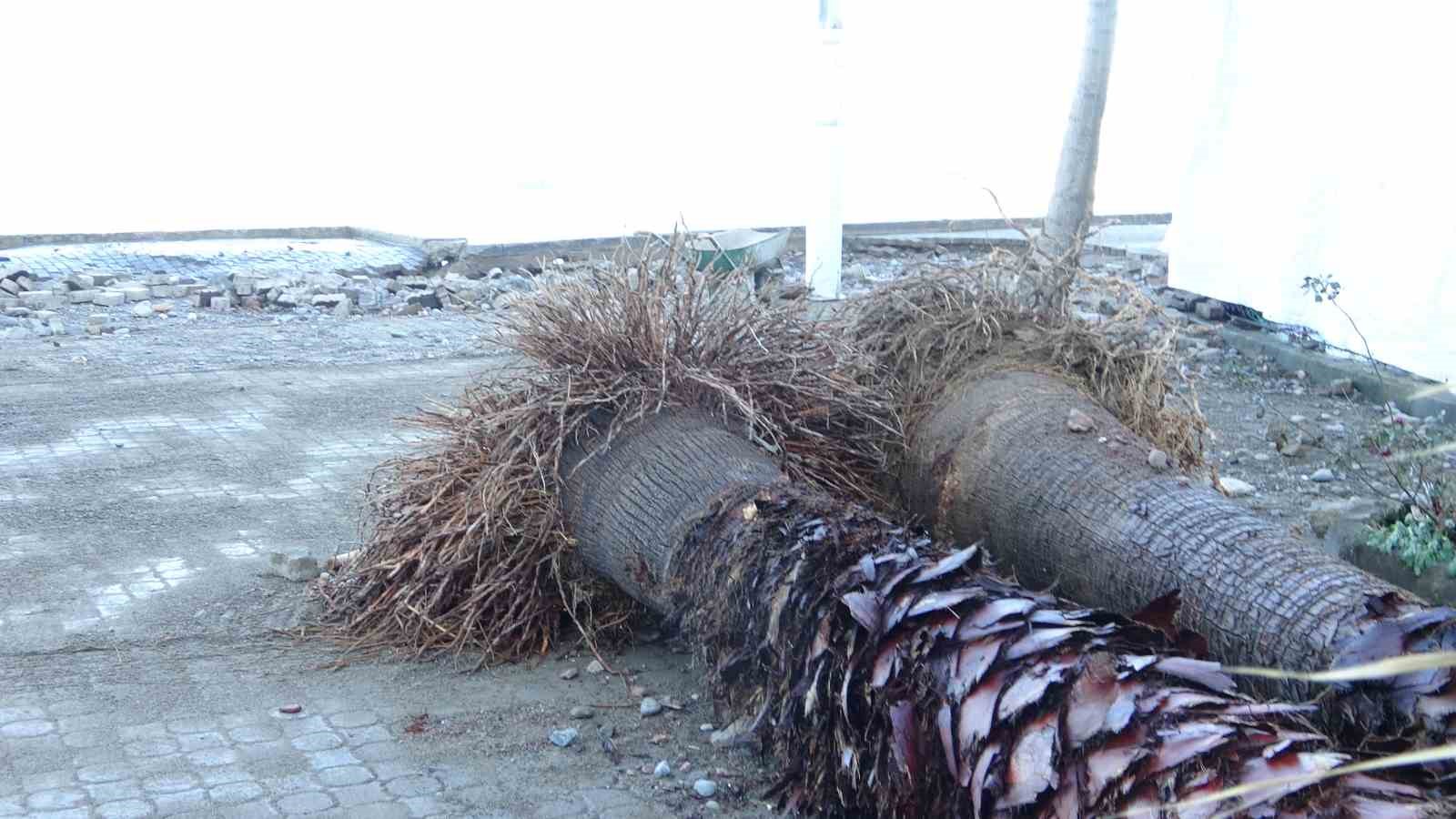 Giresun’un Tirebolu ilçesinde fırtına hasara yol açtı
