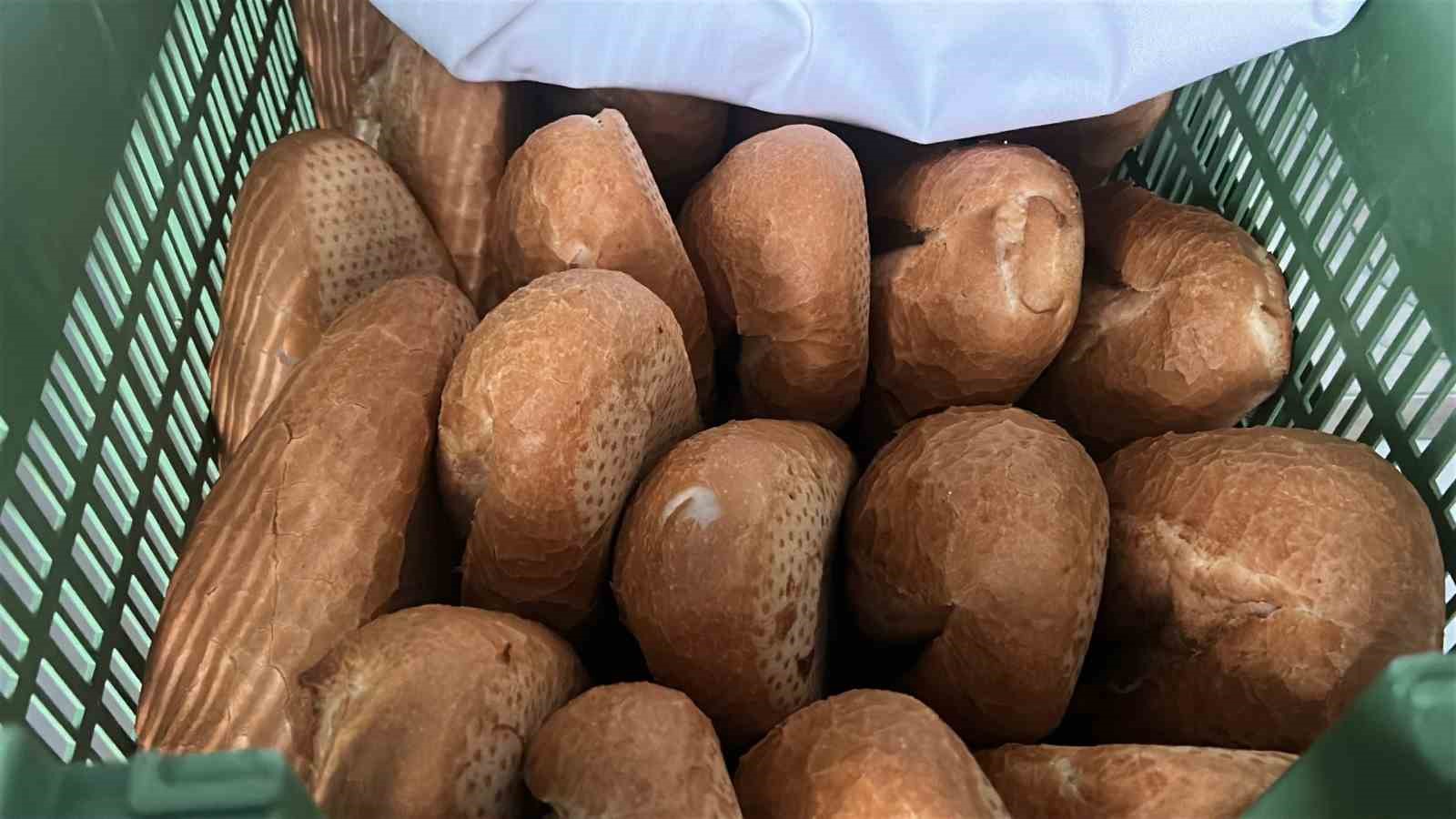 Gizemli hayırsever, Ramazan ayı boyunca günlük 6 bin ekmeği depremzede vatandaşlara ücretsiz dağıtacak
