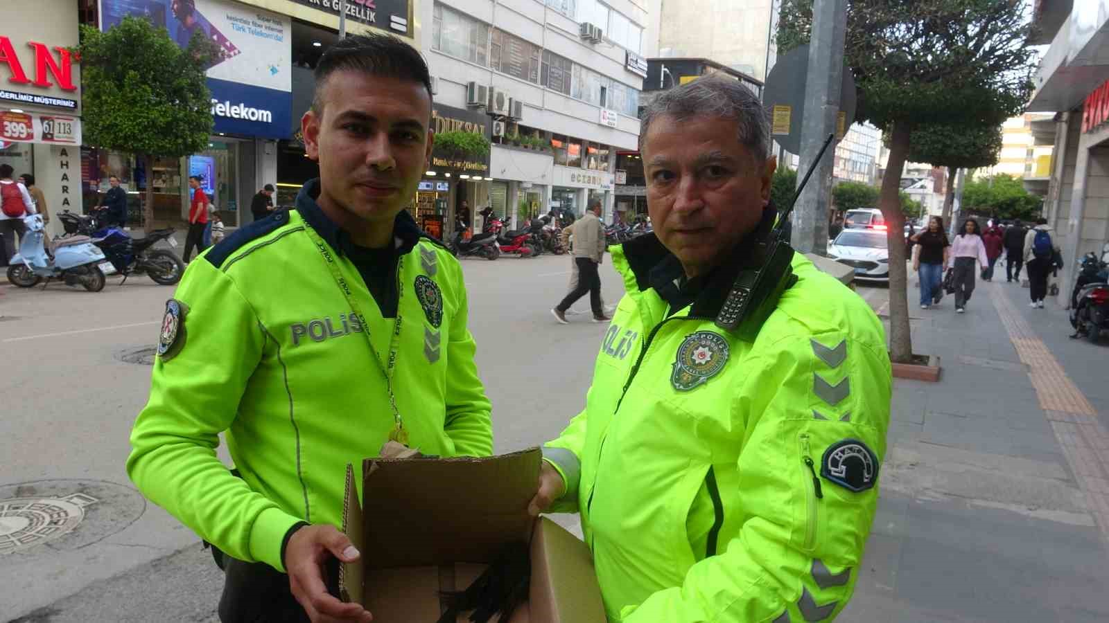Göç yolunda yorgun düşen Ebabil kuşlarına polisten yürek ısıtan şefkat
Göç yolunda yorgun düşen Ebabil kuşlarına polisten yürek ısıtan şefkat