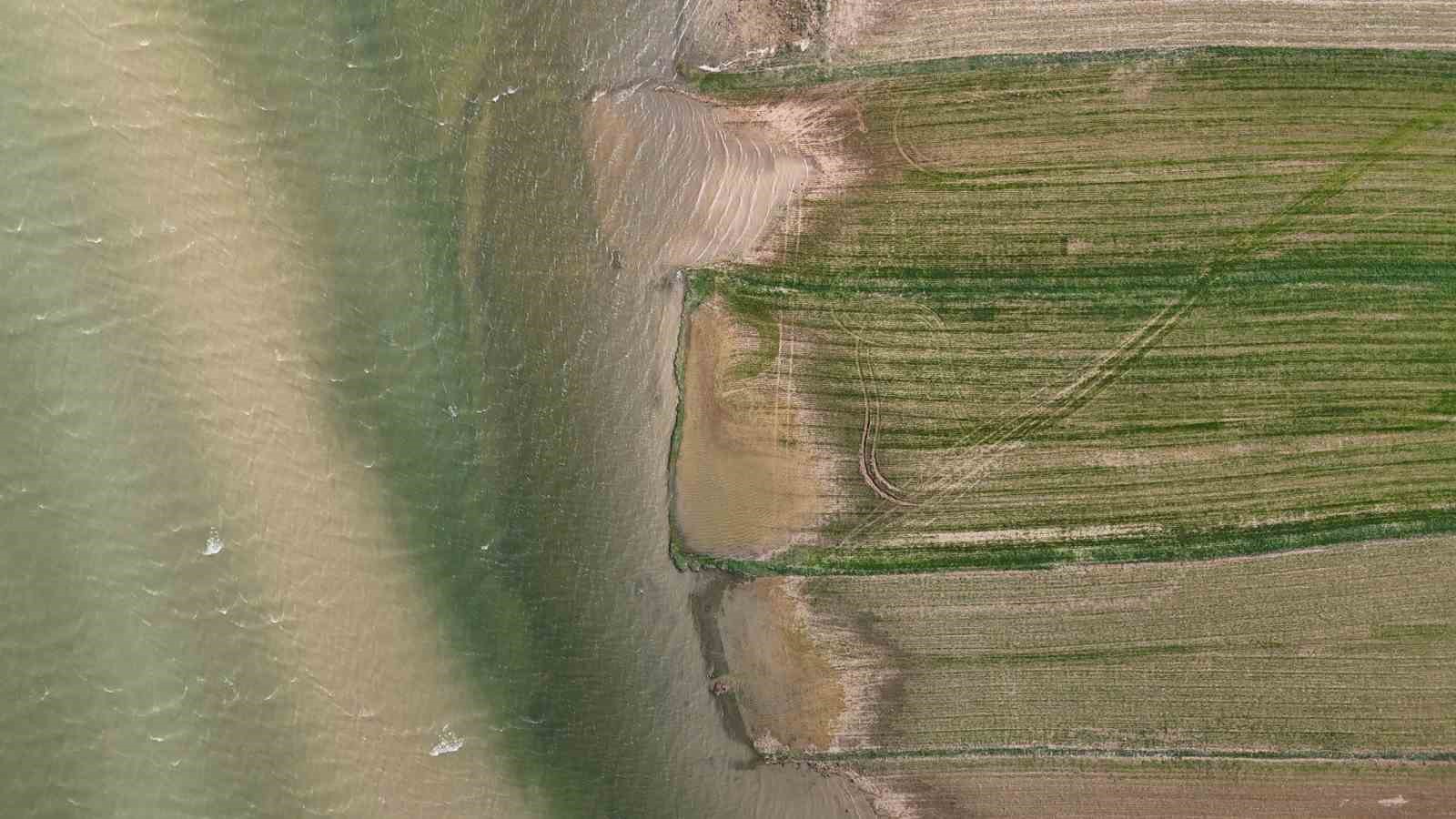 Göçmen kuşların uğrak mekanı, son yağışlarla doldu taştı
