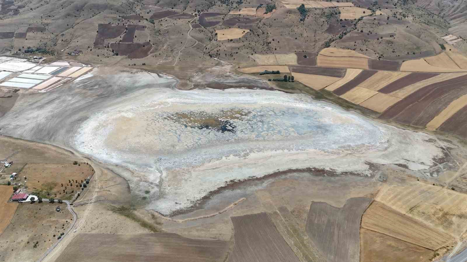 Göçmen kuşların uğrak mekanı, son yağışlarla doldu taştı
