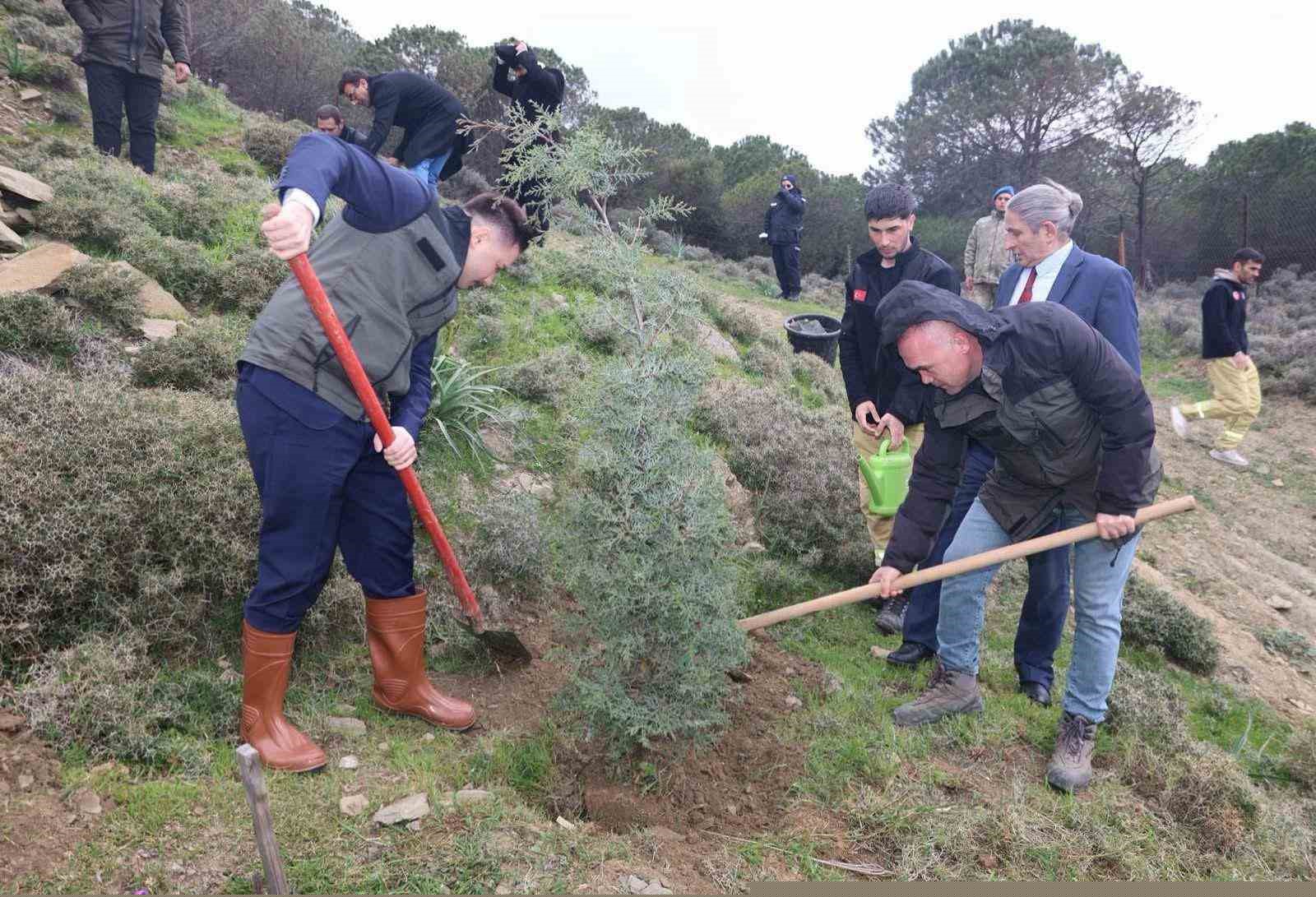 Gökçeada’da fidanlar toprakla buluştu
