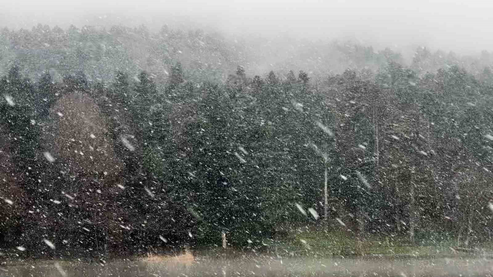 Gölcük’te kar yağışı ve sis etkili oldu
