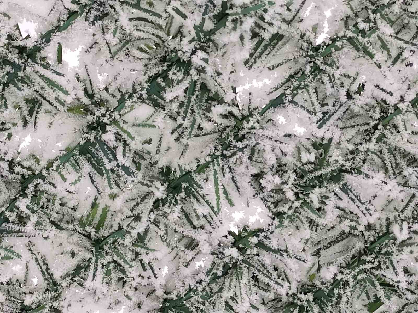 Göle ilçesi eksi 20 dereceyle dondu
