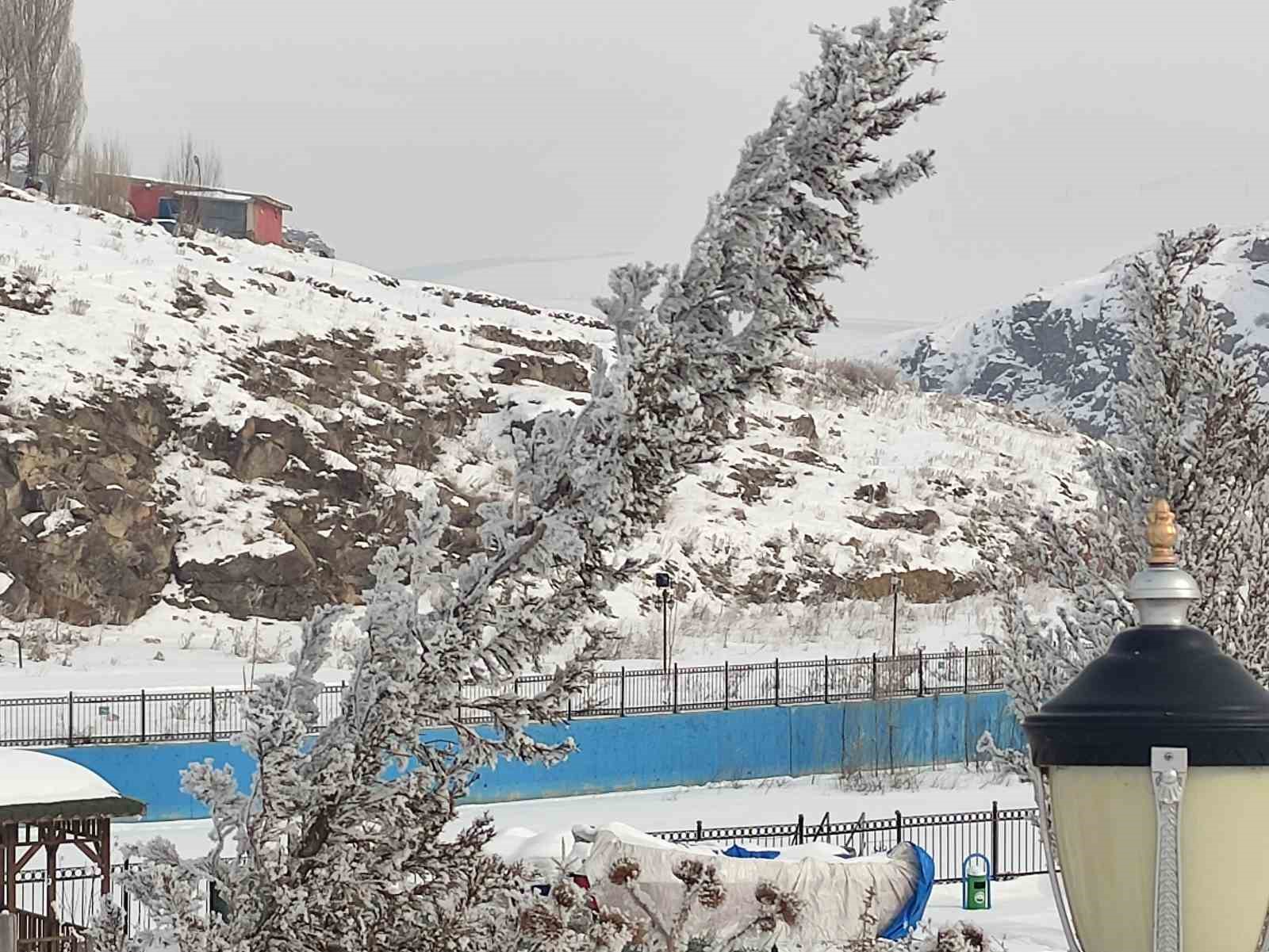 Göle ilçesi eksi 20 dereceyle dondu
