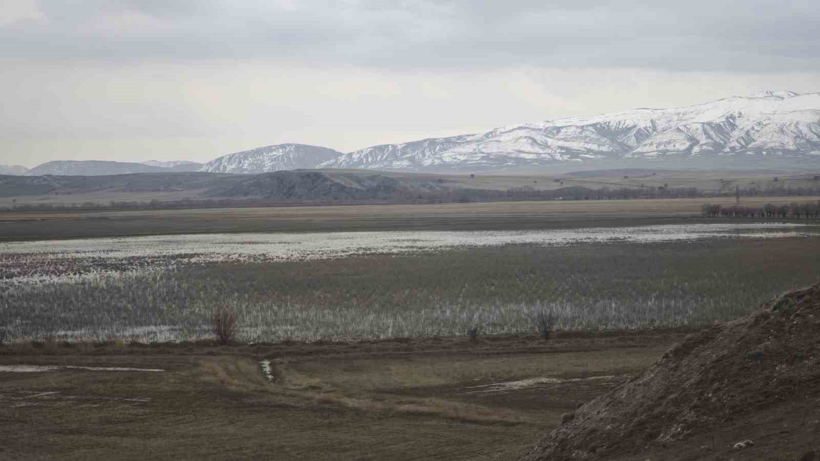 Göller doldu taştı, tarım arazileri göle döndü
