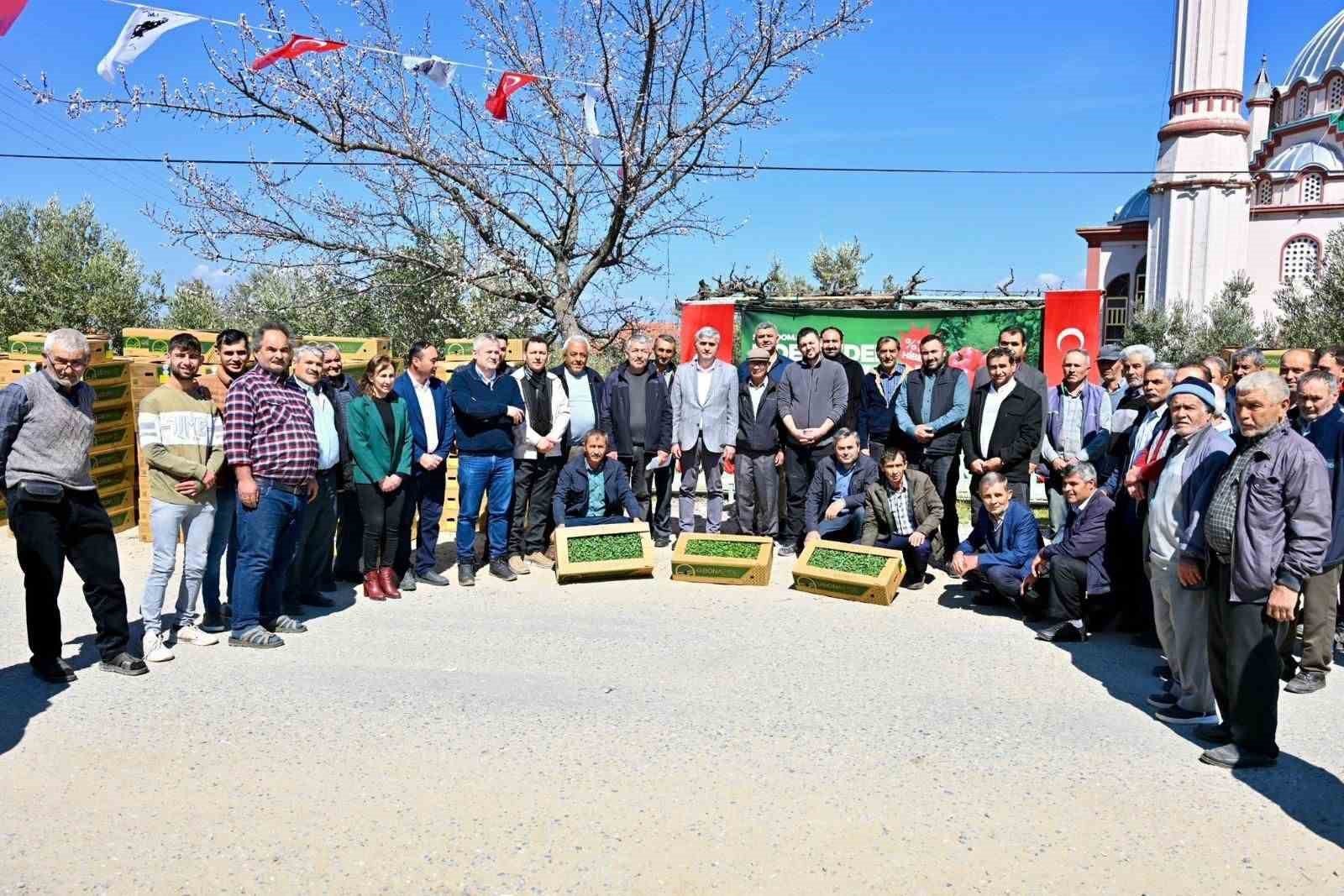 Gördes’te 73 bin domates fidesi toprakla buluşuyor
