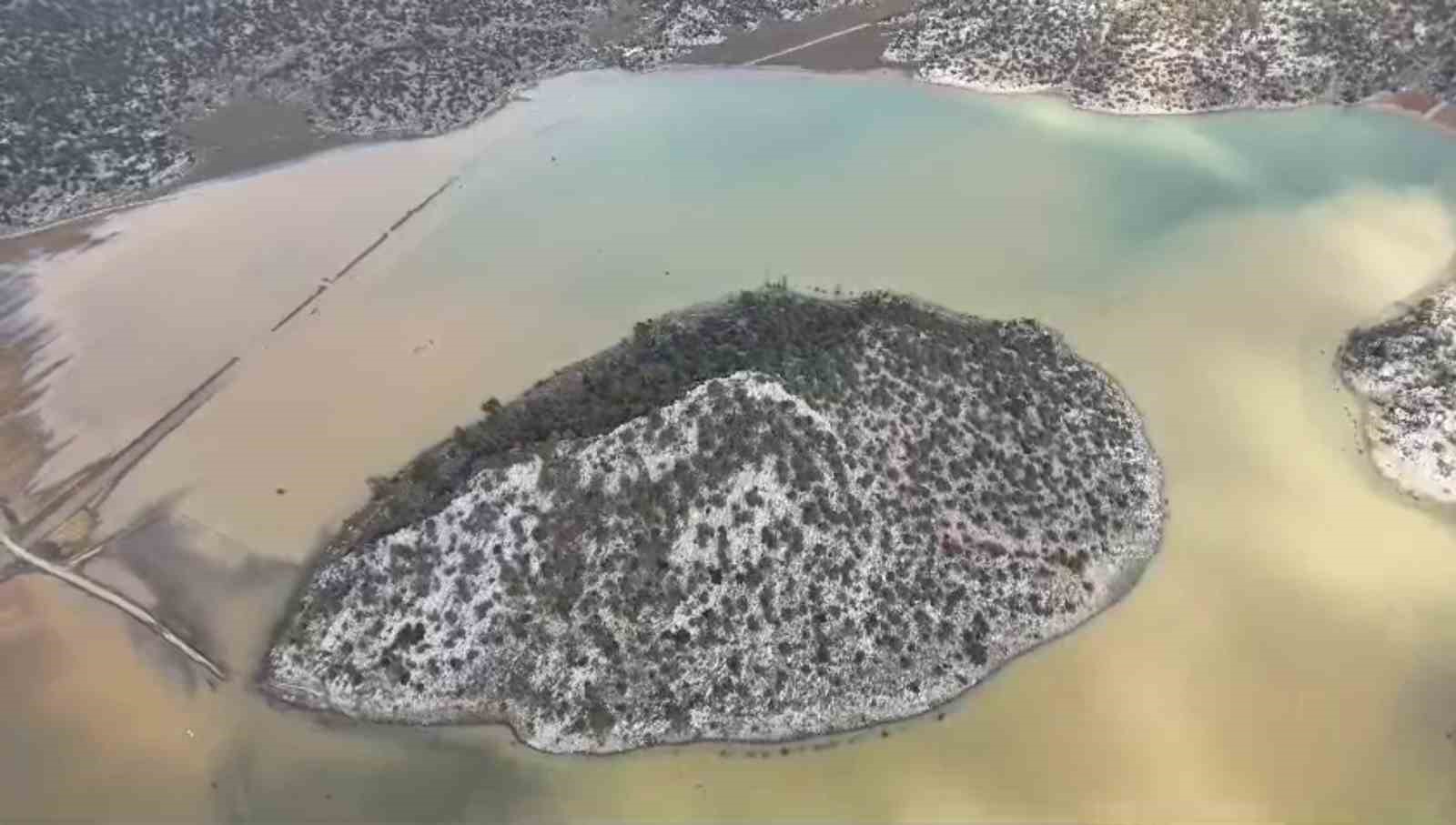 Gören "Meke" sandı, gerçek başka çıktı
Gören "Meke" sandı, gerçek başka çıktı