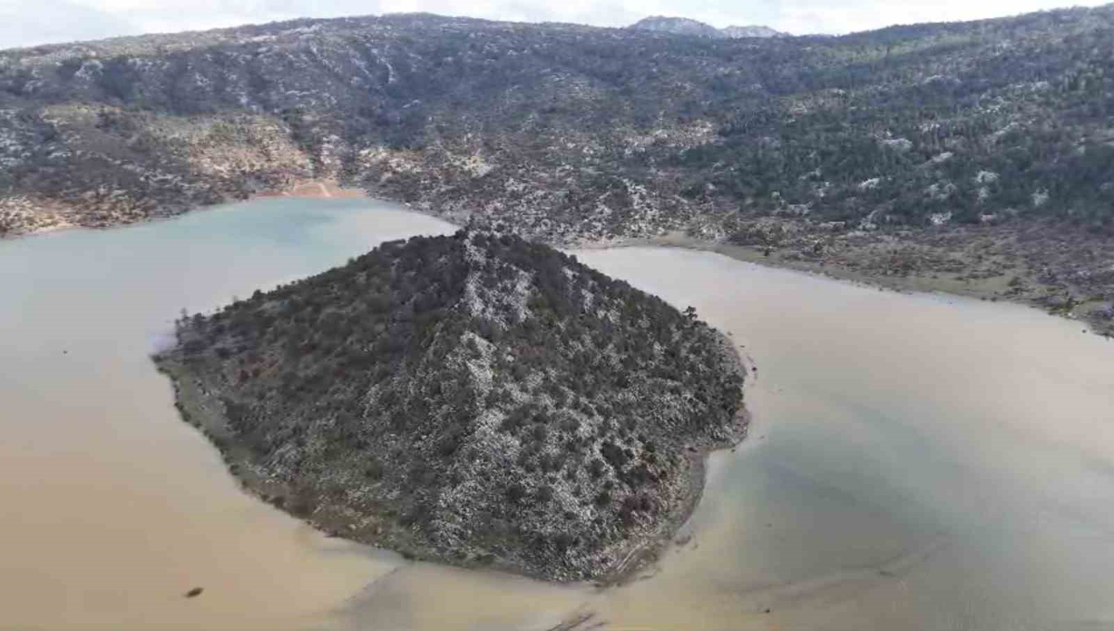 Gören "Meke" sandı, gerçek başka çıktı
Gören "Meke" sandı, gerçek başka çıktı