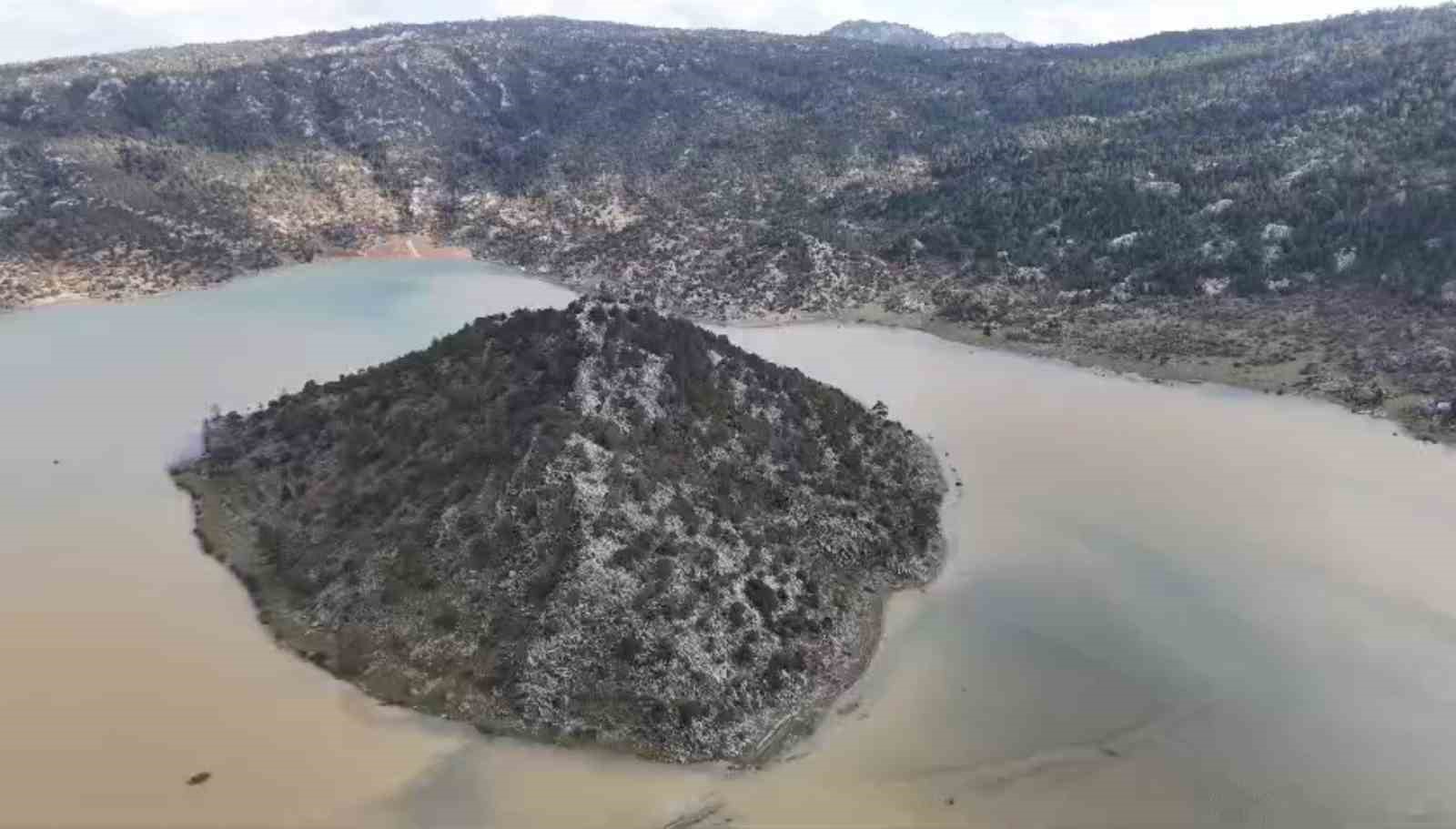 Gören "Meke" sandı, gerçek başka çıktı
Gören "Meke" sandı, gerçek başka çıktı
