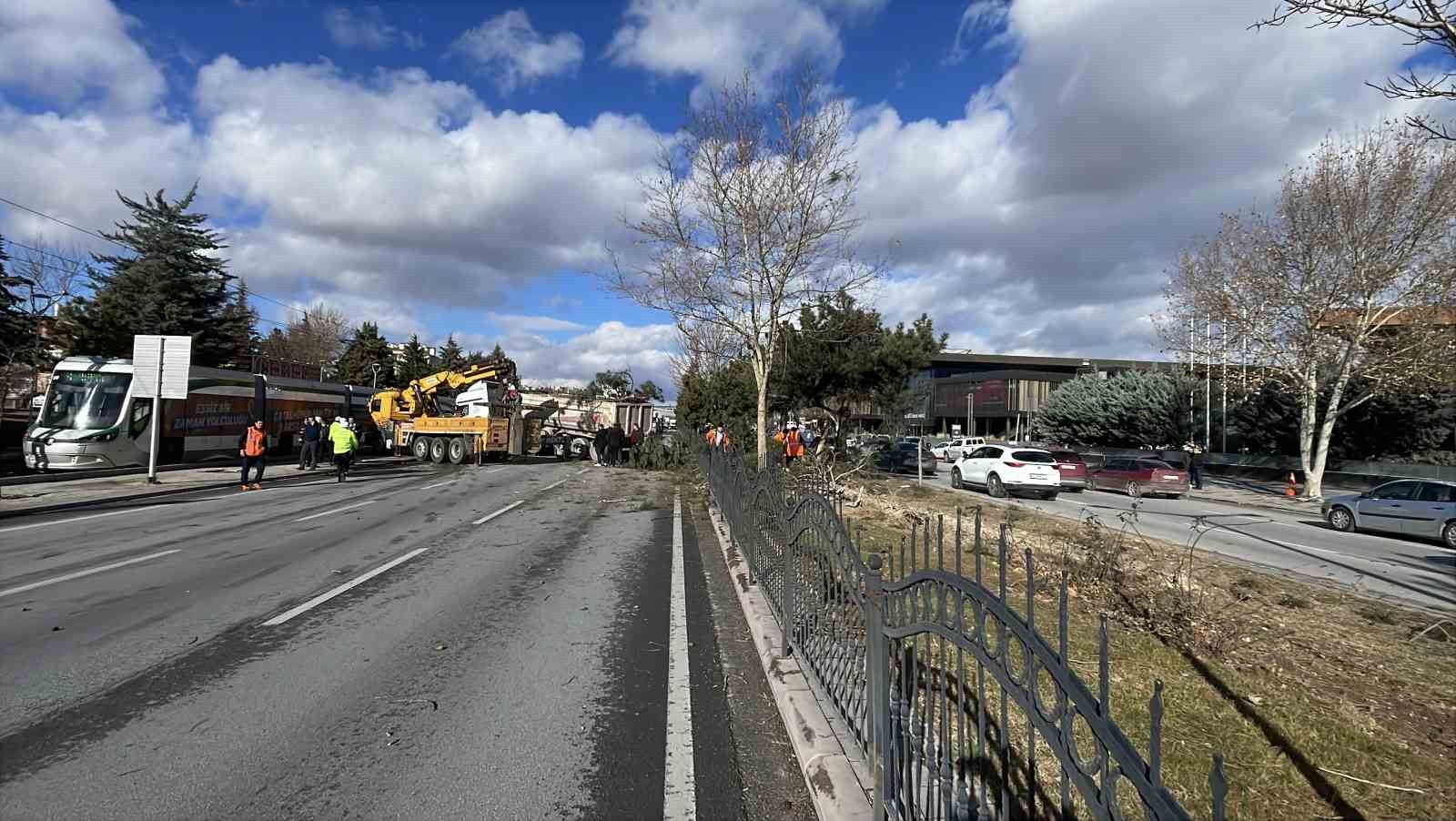Görenleri pes dedirten kazada tır ağaçları ezip karşı şeritte durabildi
