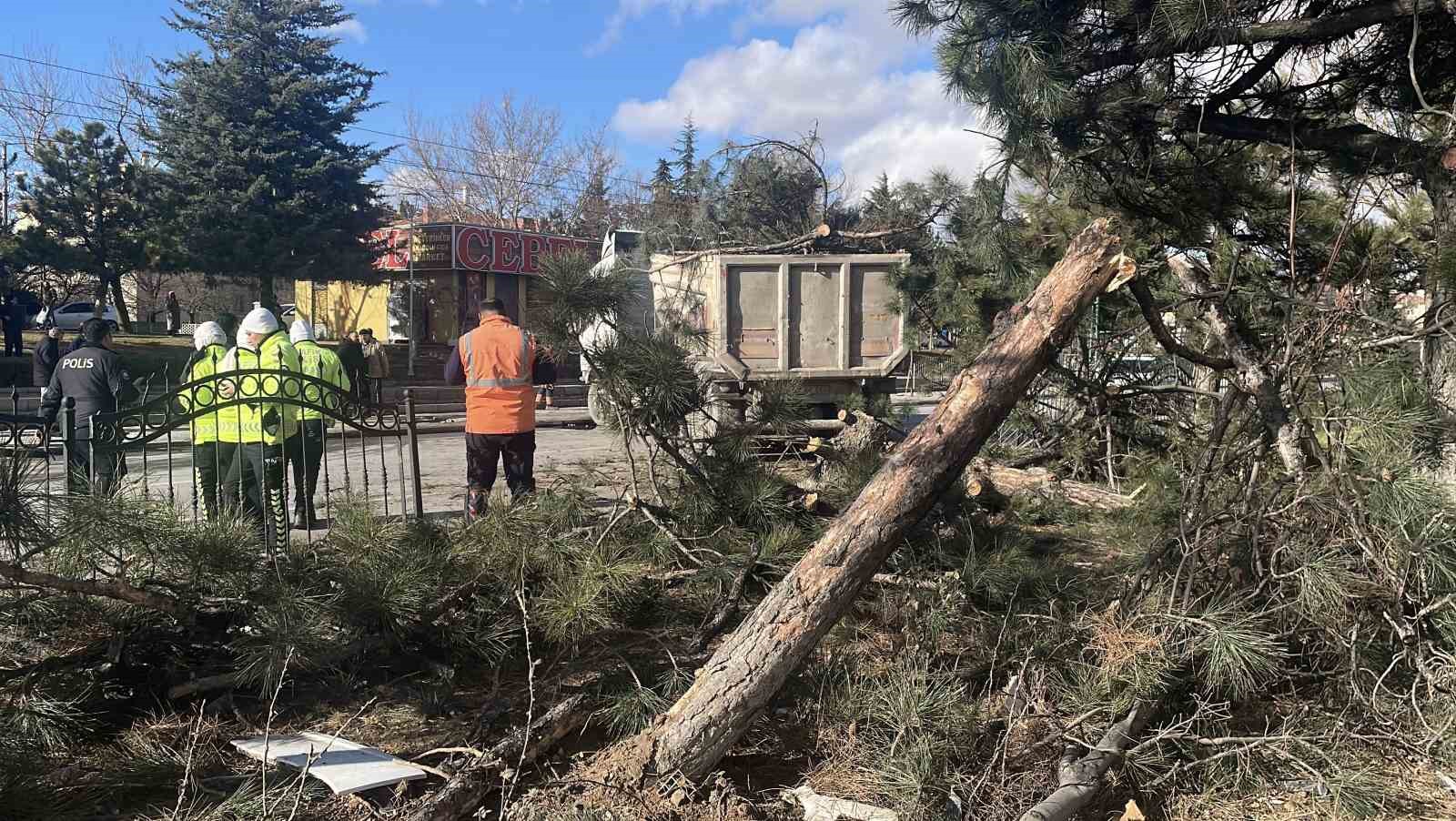 Görenleri pes dedirten kazada tır ağaçları ezip karşı şeritte durabildi
