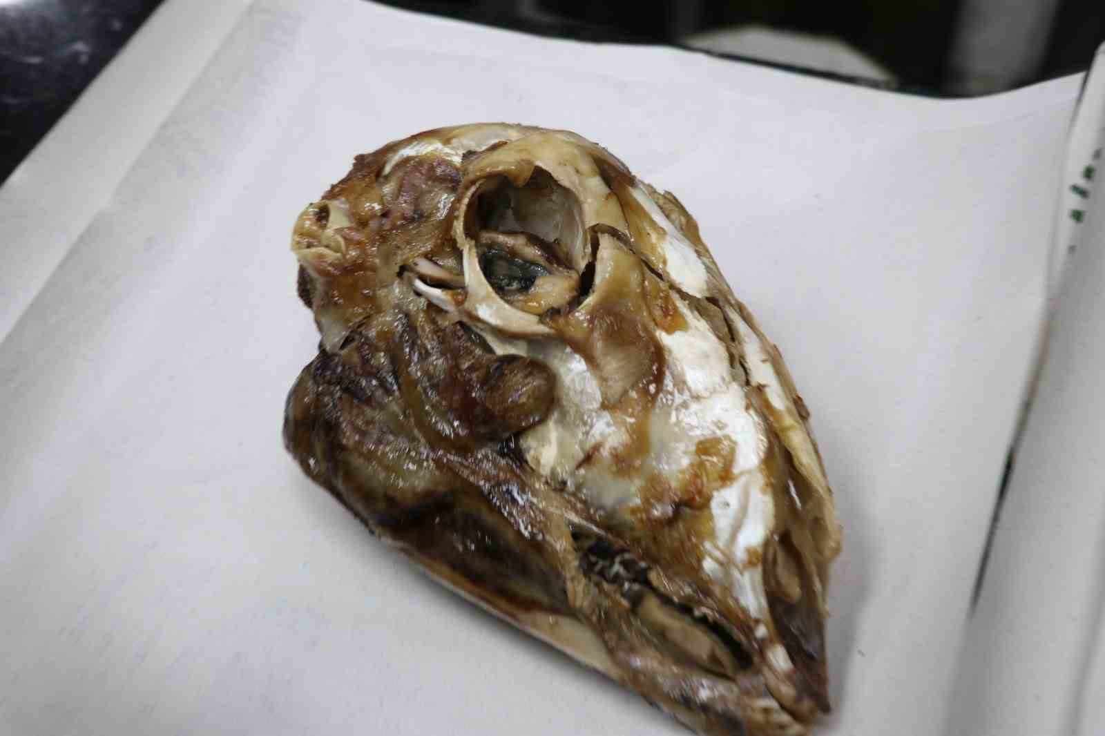 ’Gözünün yağını yiyeyim’ deyimi buradan geliyor
