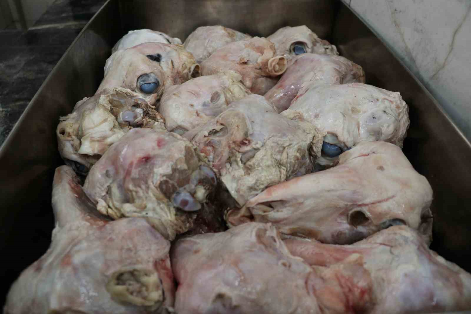 ’Gözünün yağını yiyeyim’ deyimi buradan geliyor
