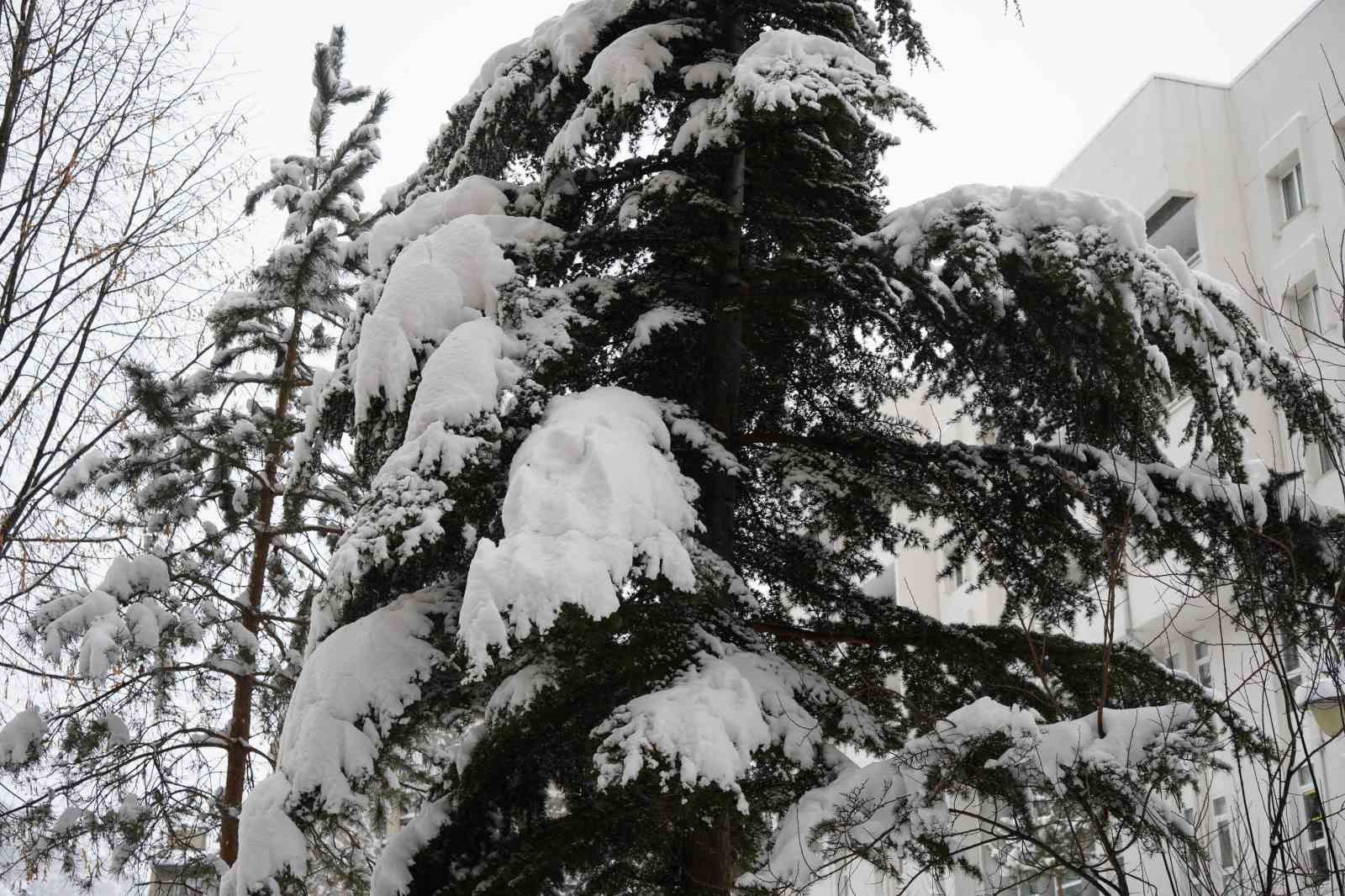 Gümüşhane kente merkezinde kar kalınlığı 30 santimetreye ulaştı
