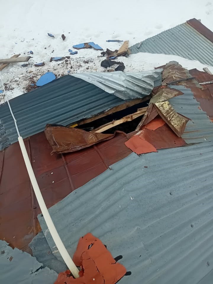 Gümüşhane yaylalarında ayı dehşeti devam ediyor
