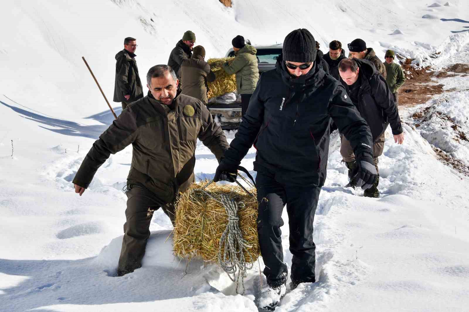 Gümüşhane’de aç kalan yaban hayvanları için seferberlik
Gümüşhane’de aç kalan yaban hayvanları için seferberlik