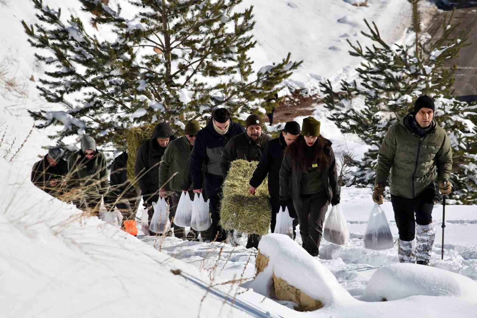 Gümüşhane’de aç kalan yaban hayvanları için seferberlik
Gümüşhane’de aç kalan yaban hayvanları için seferberlik