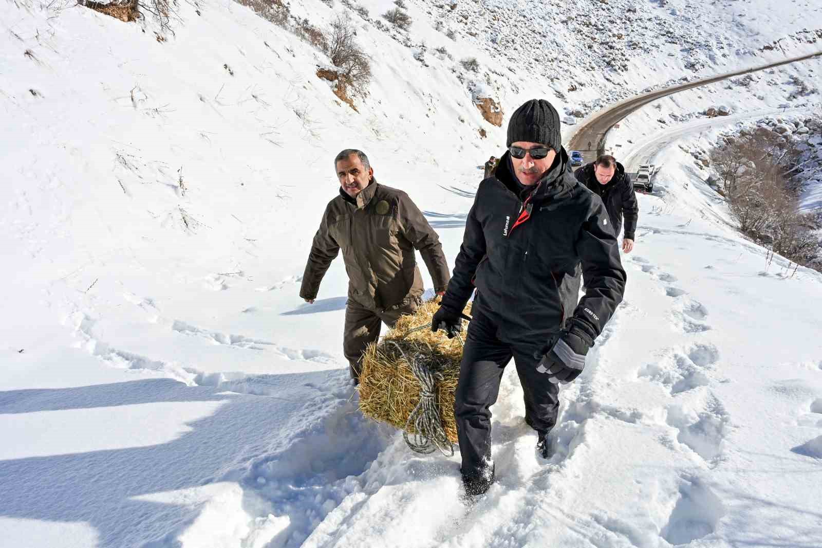 Gümüşhane’de aç kalan yaban hayvanları için seferberlik
Gümüşhane’de aç kalan yaban hayvanları için seferberlik