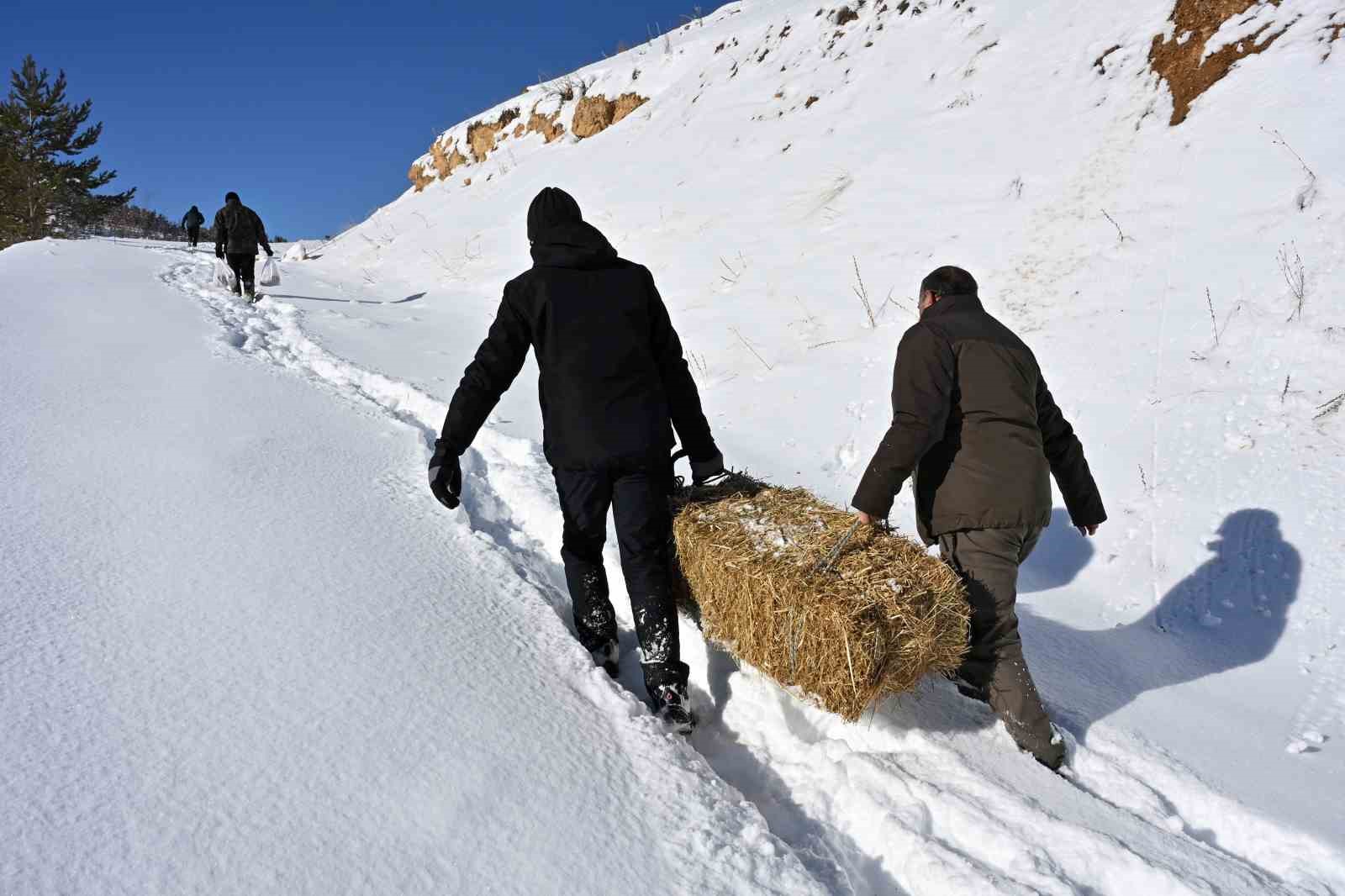 Gümüşhane’de aç kalan yaban hayvanları için seferberlik
Gümüşhane’de aç kalan yaban hayvanları için seferberlik