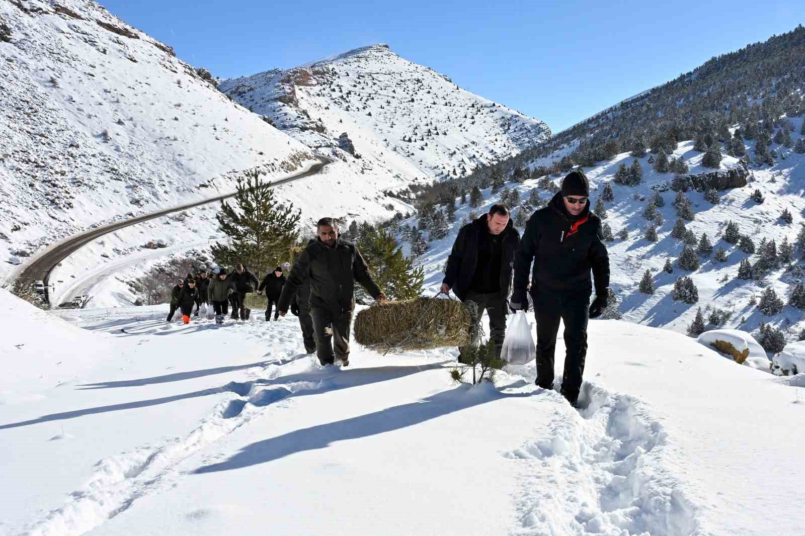 Gümüşhane’de aç kalan yaban hayvanları için seferberlik
Gümüşhane’de aç kalan yaban hayvanları için seferberlik