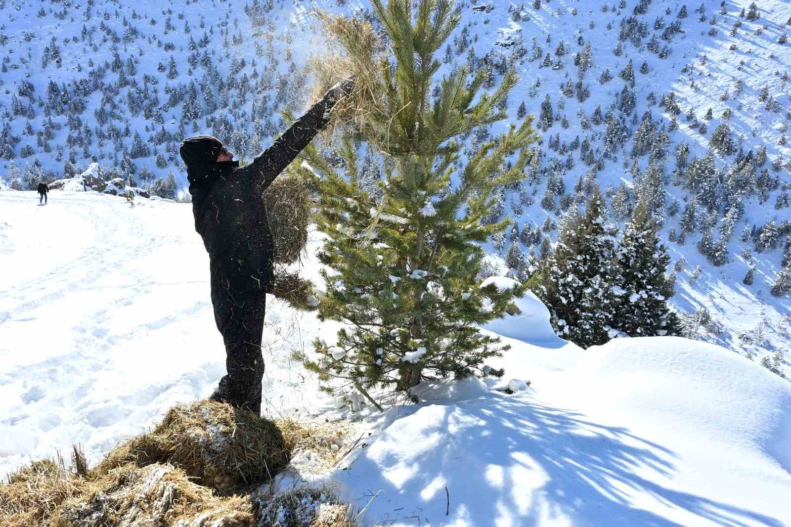 Gümüşhane’de aç kalan yaban hayvanları için seferberlik
Gümüşhane’de aç kalan yaban hayvanları için seferberlik