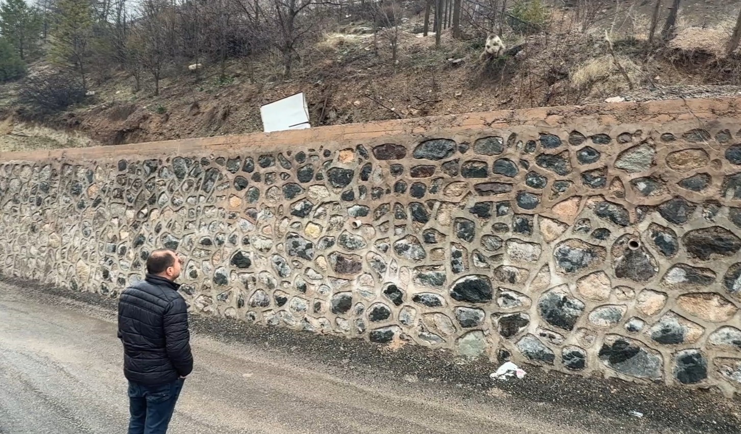 Gümüşhane’de aç kalan yavru ayıyı elleriyle beslediler
