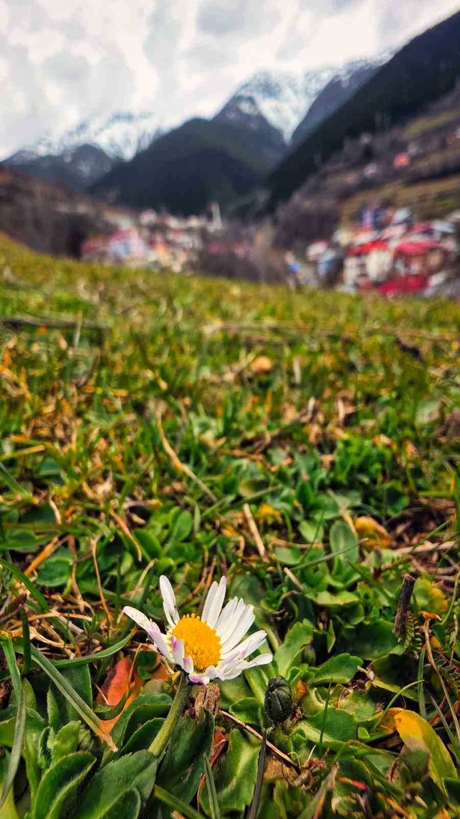 Gümüşhane’de baharın renkleri kışın beyazıyla kucaklaştı
