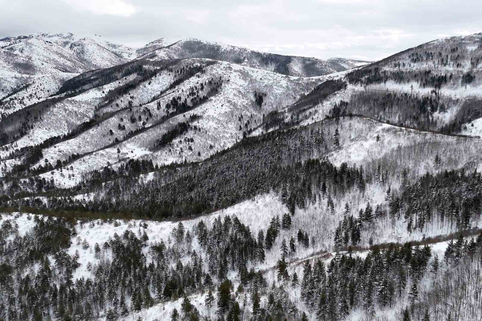 Gümüşhane’de beyaz yolculuk: Dağcılar kar üstünde buluştu
